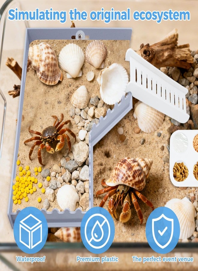 KCMOSGI Hermit Crab Accessories - Hermit Crab Platform with Ladder and Food Dish, Hermit Crab Climbing Toys, Habitat Tank Accessories for Hermit, Geckos, Small Lizards - Image 4